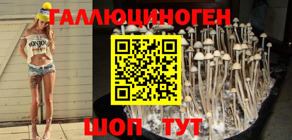 Мурманск  Псилоцибиновые грибы MAGIC MUSHROOMS  купить наркоту  Псилоцибиновые грибы мицелий  Вход с VPN 